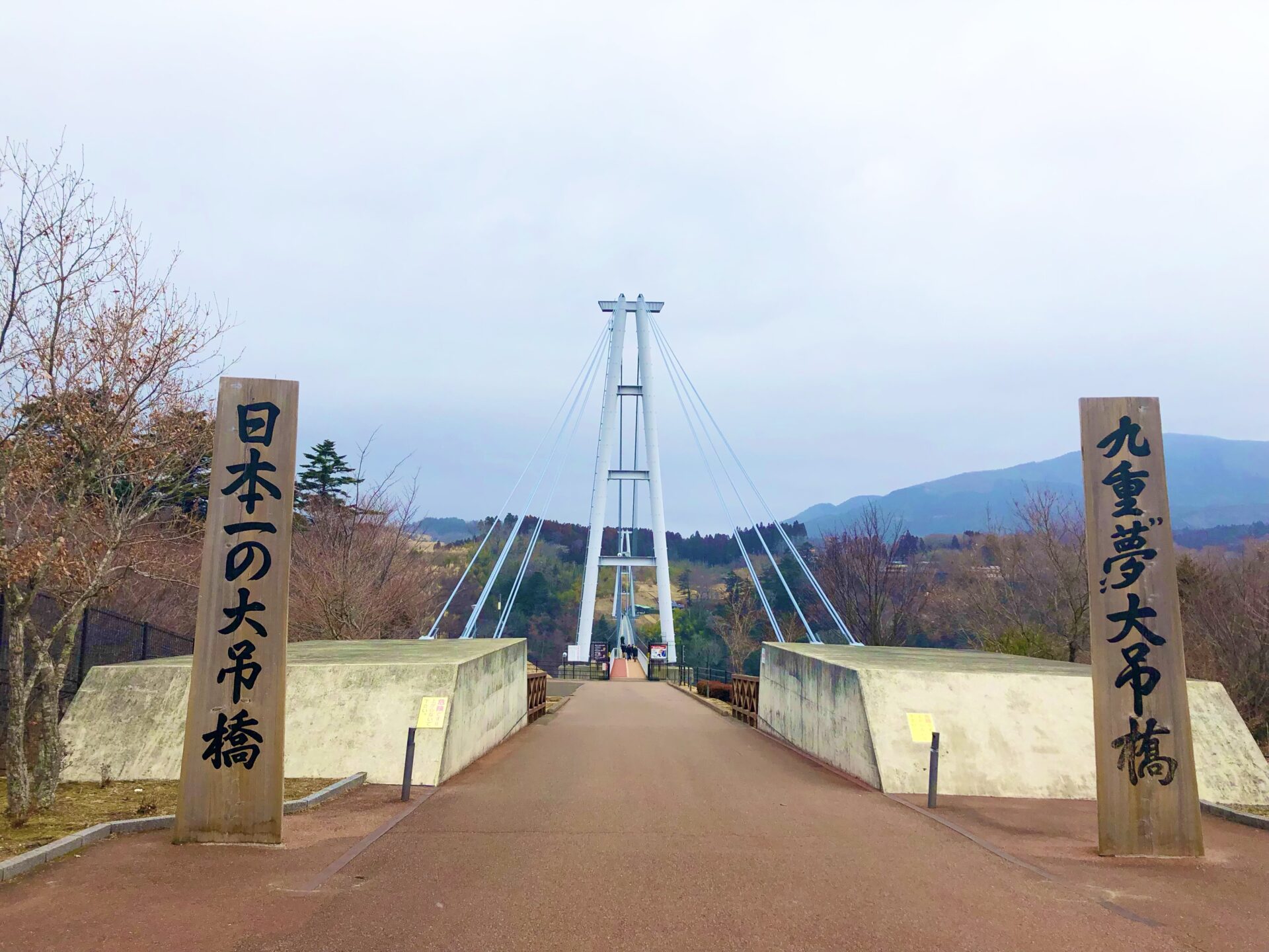 【大分観光に車は必要?】レンタカーで大分をぐるっと満喫しよう! - TRAVELOG